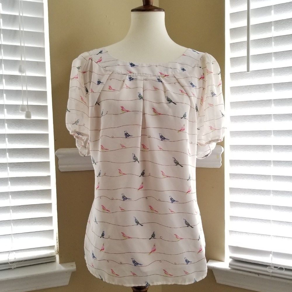 Cute, Shear, Sara Michelle blouse with underlay,